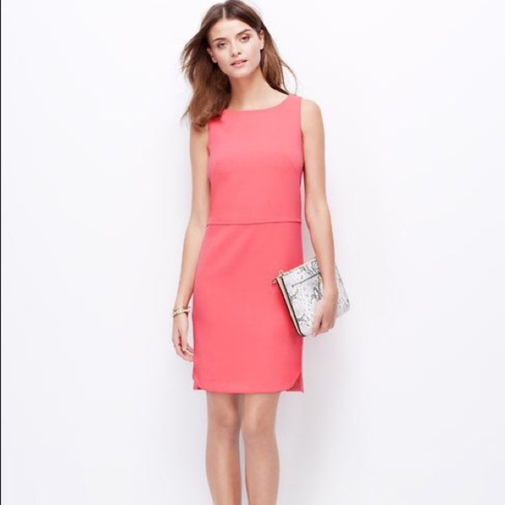 Ann Taylor rounded hem shift dress P00